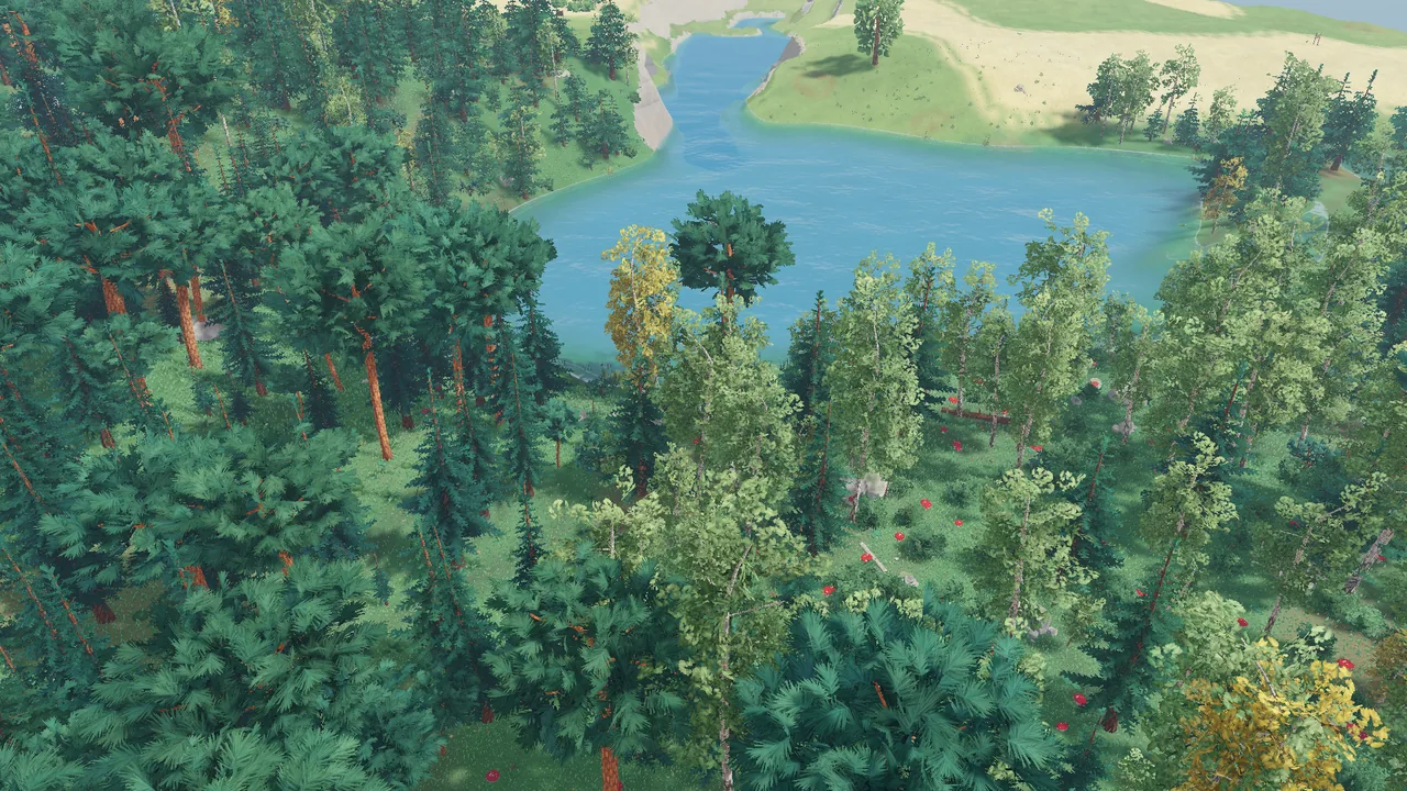 A coast from above