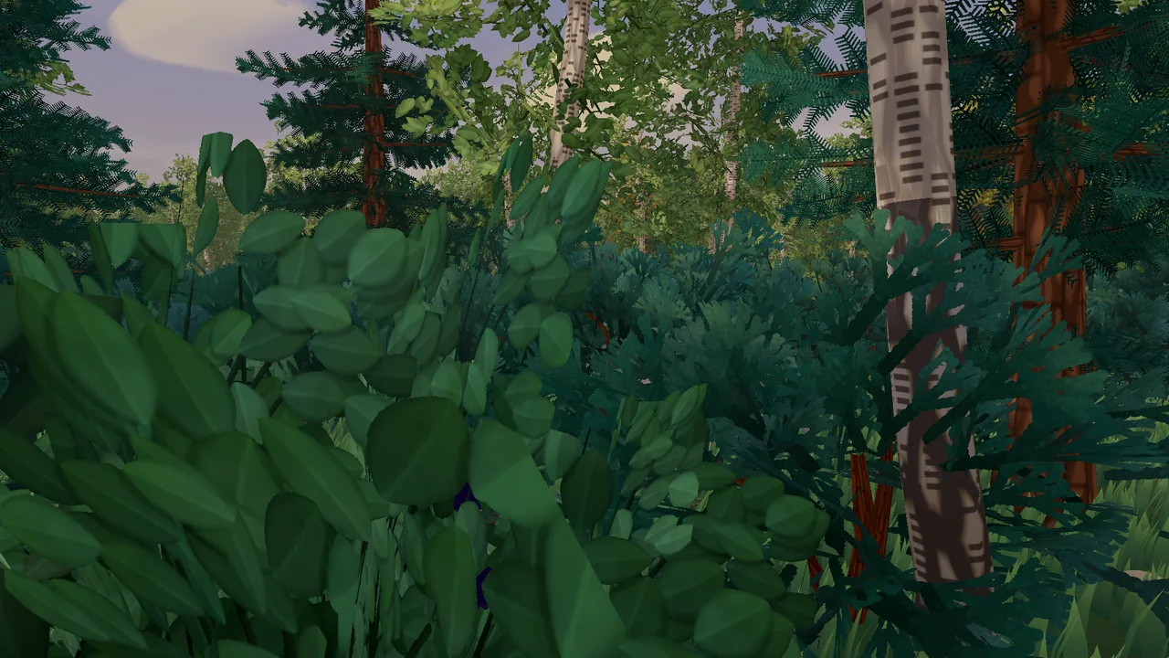 A forest at dusk